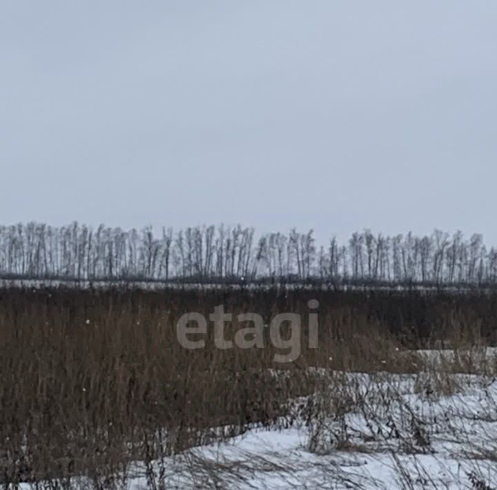 земля р-н Белгородский с Новая Нелидовка р-н мкр Лаванда с пос, Головинское фото 3