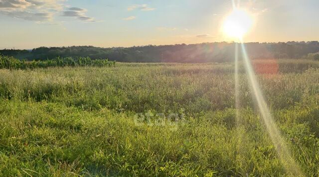 ул Белгородская фото