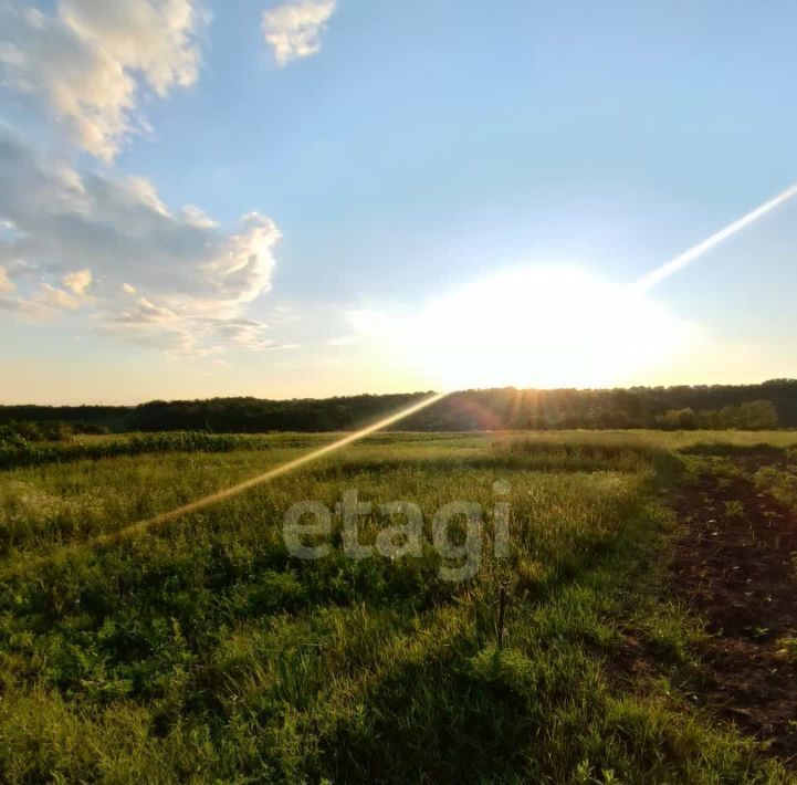 земля г Белгород Восточный ул Белгородская фото 6