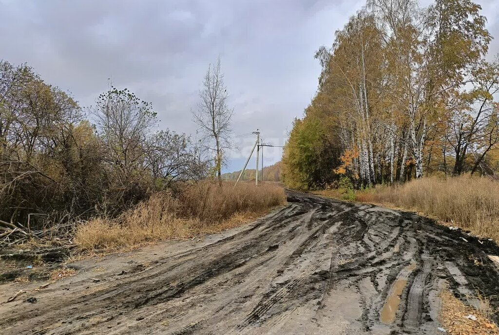 земля г Котовск р-н Индустриальный парк Котовск фото 8