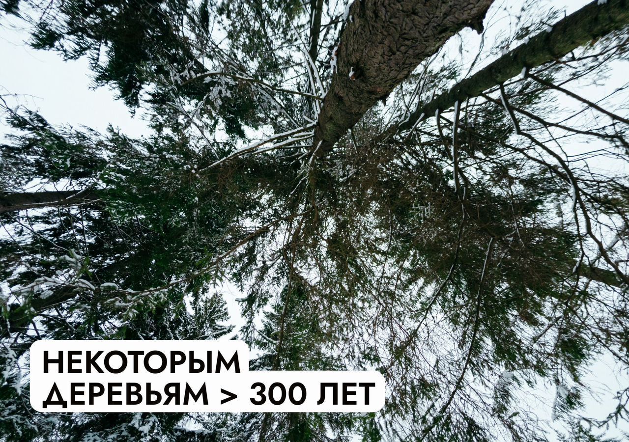 земля городской округ Истра п Глебовский 49 км, коттеджный пос. Большая вода, г. о. Истра, Ленинградское шоссе фото 25