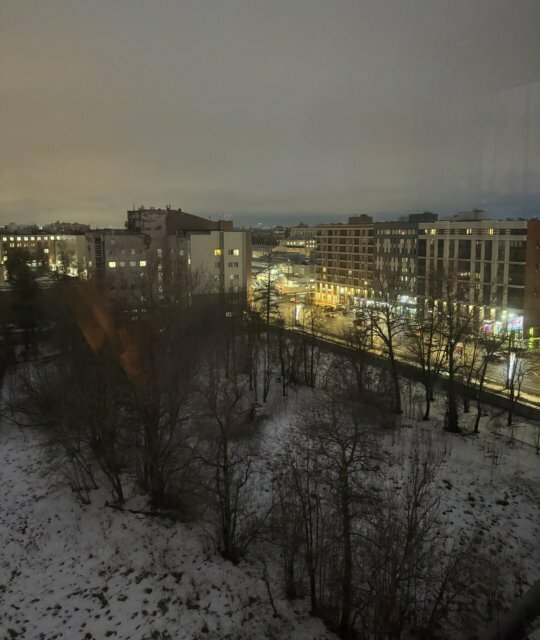 квартира г Санкт-Петербург метро Петроградская пр-кт Аптекарский 18 фото 2