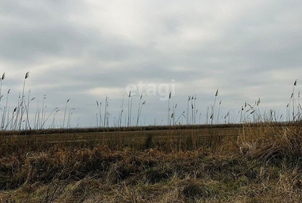 земля г Краснодар снт Калинина ул Клубничная фото 4