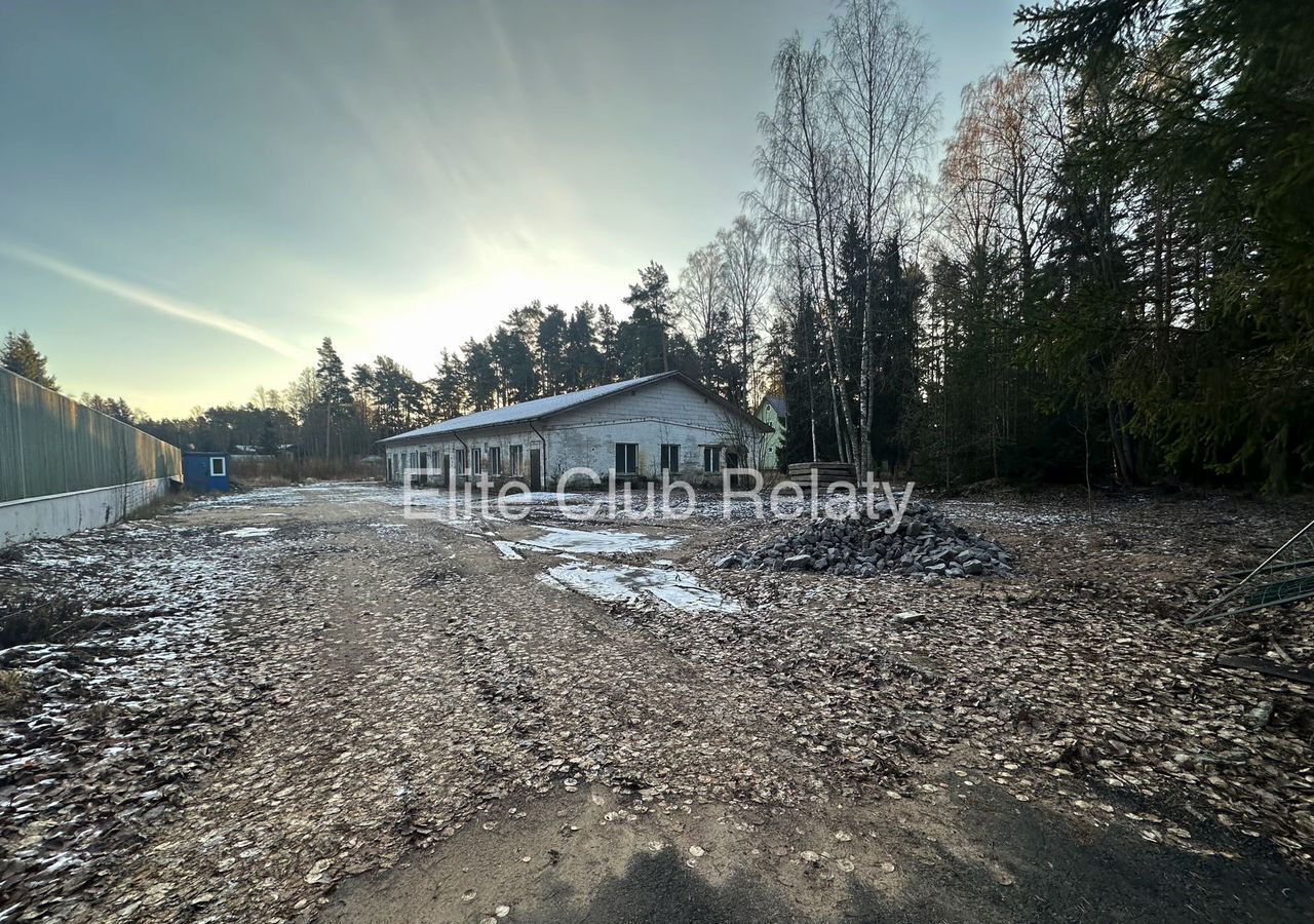 земля г Санкт-Петербург п Репино ш Приморское 471х р-н Курортный Приморское шоссе, 16 км фото 1