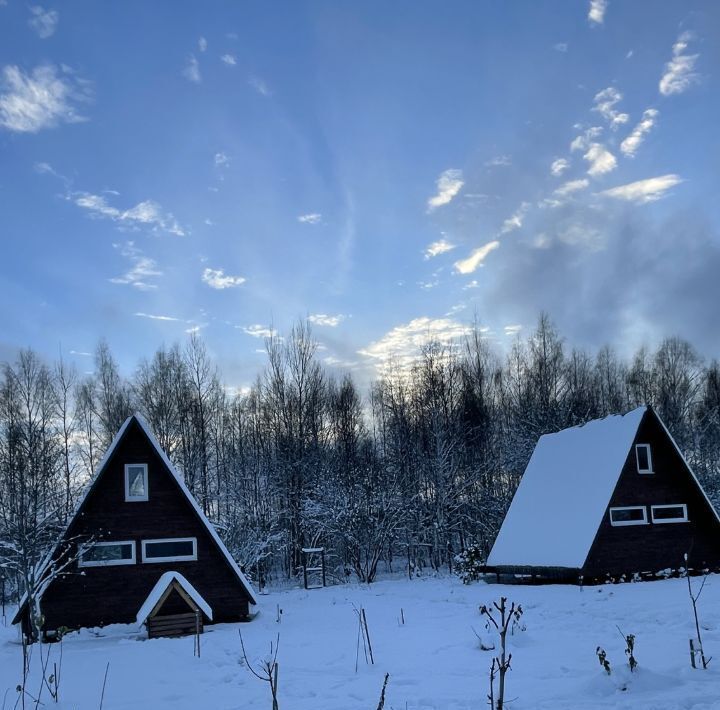 дом городской округ Истра д Ремянники фото 1