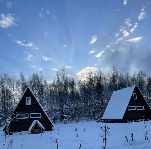 городской округ Истра д Ремянники фото