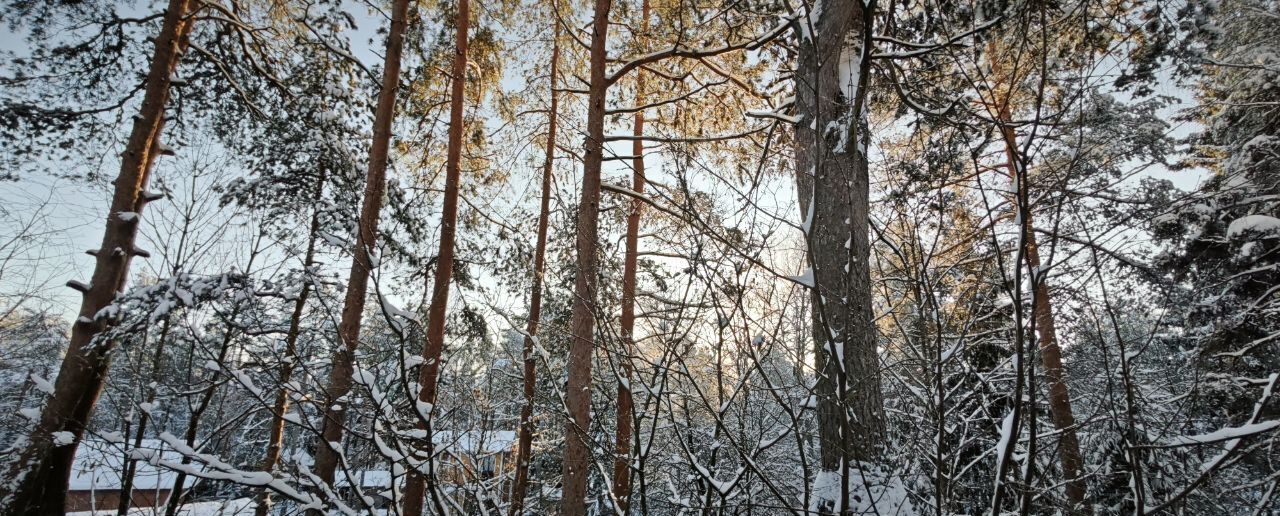 дом р-н Всеволожский днп Отдых Трудящихся 10 км, Всеволожский р-н, Токсовское городское поселение, городской пос. Токсово, Токсово, Ленинградское шоссе фото 11