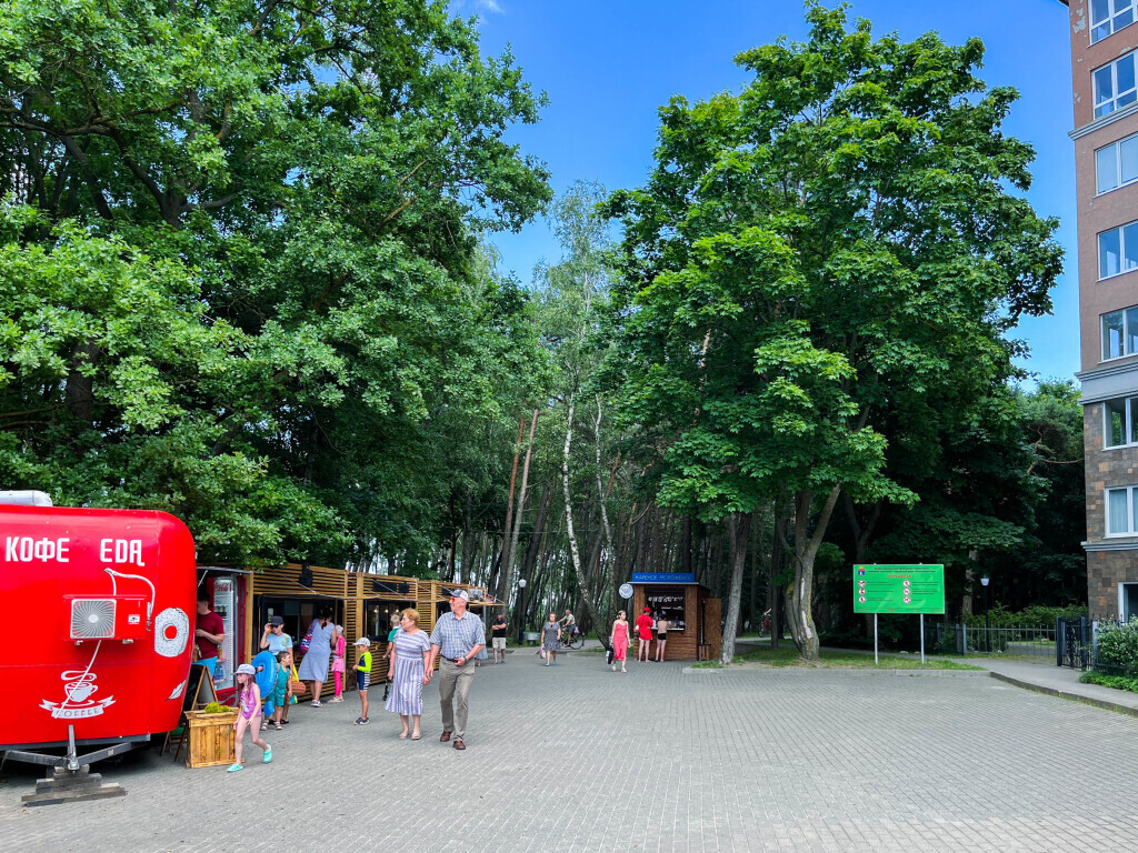 квартира г Пионерский пер Комсомольский д. 3 фото 6