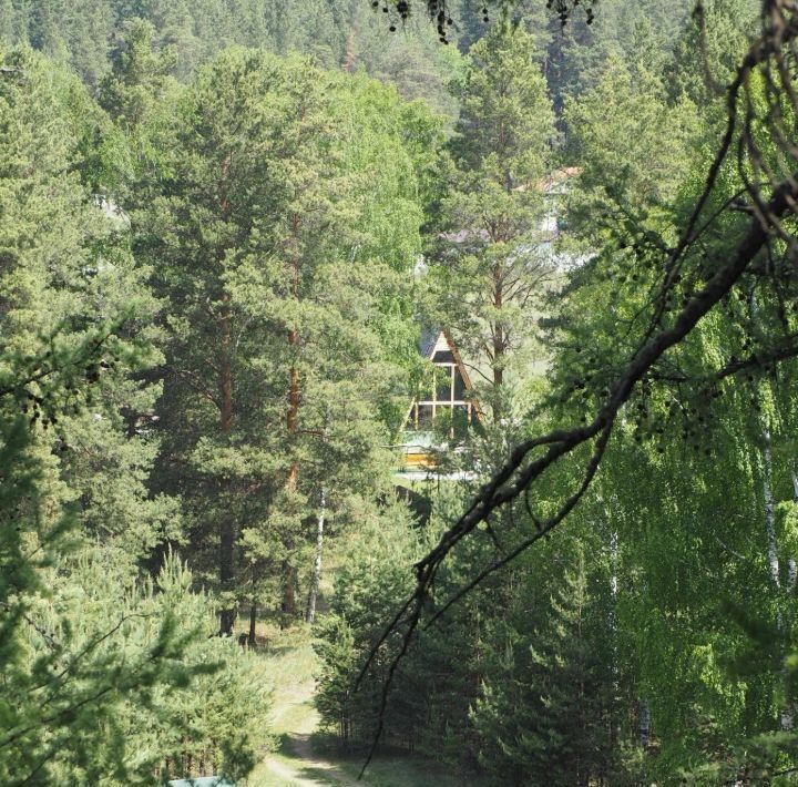 дом городской округ Раменский Сосновый Край кп, Раменское фото 20