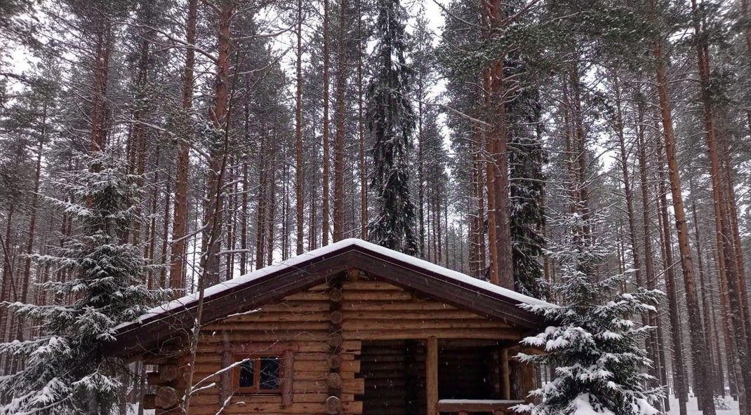 дом р-н Пряжинский д Сямозеро ул Сямозерская Эссойльское с/пос фото 8