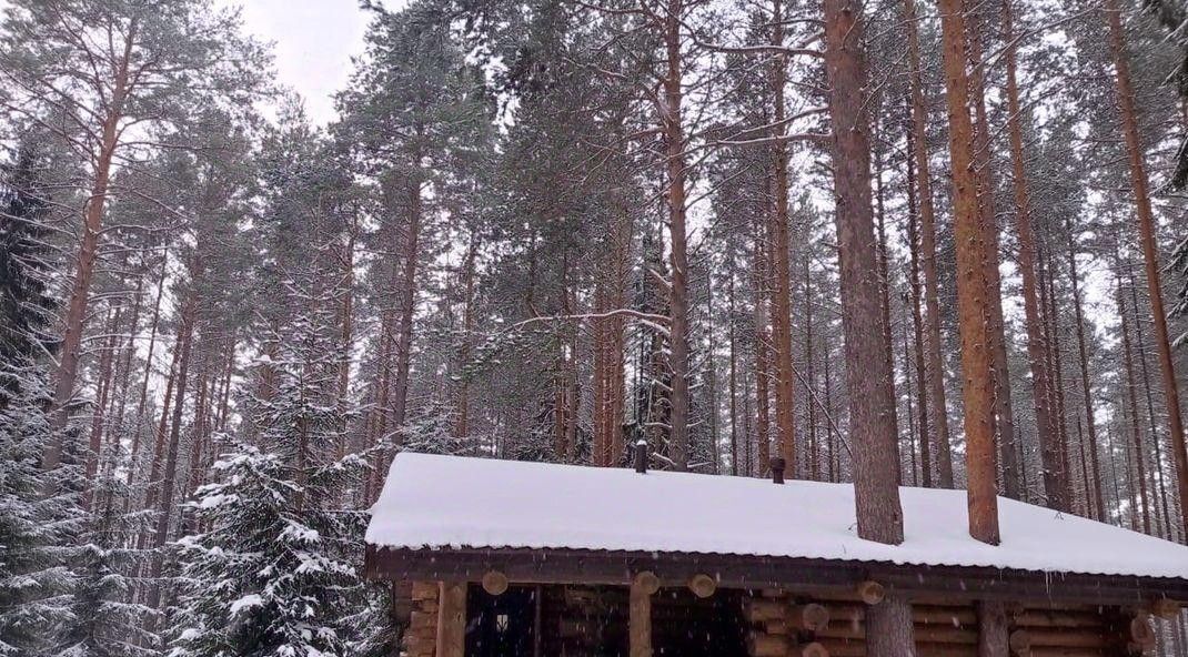 дом р-н Пряжинский д Сямозеро ул Сямозерская Эссойльское с/пос фото 15