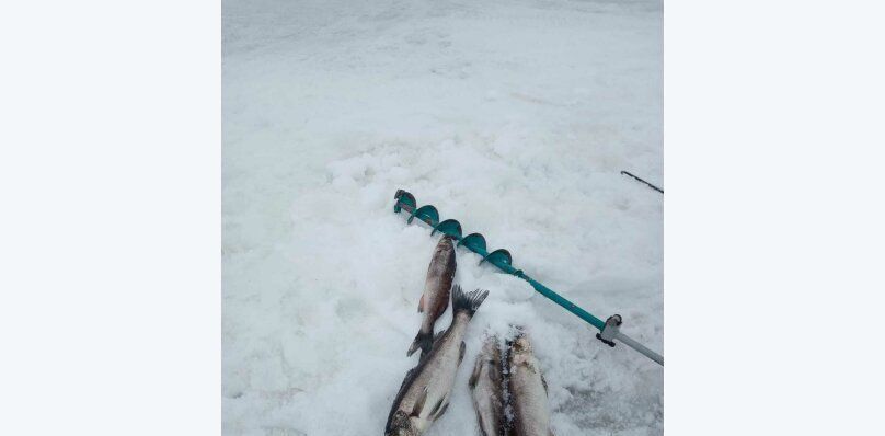 дом р-н Пряжинский снт Дружба СОТ Кондопожское городское поселение, 23 фото 33