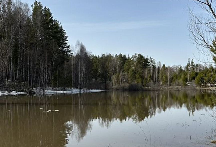 земля р-н Первомайский с Баюновские Ключи Новоалтайск фото 22