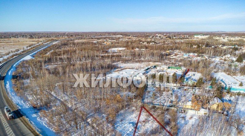 земля р-н Смидовичский п Приамурский ул Советская фото 1