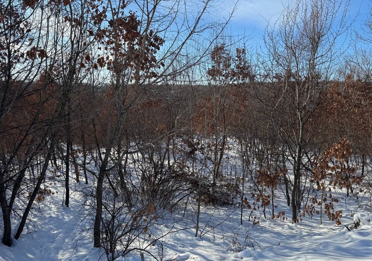 земля р-н Благовещенский с Чигири Благовещенск фото 6