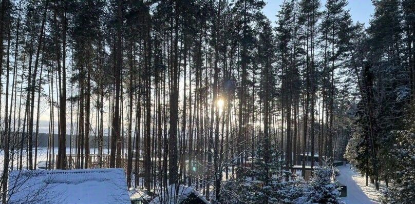 дом р-н Городецкий сп Волжское лесничество 15 фото 30