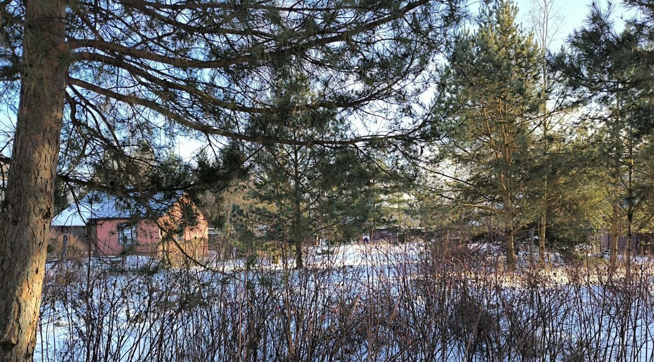 земля городской округ Раменский с Татаринцево 40 фото 6