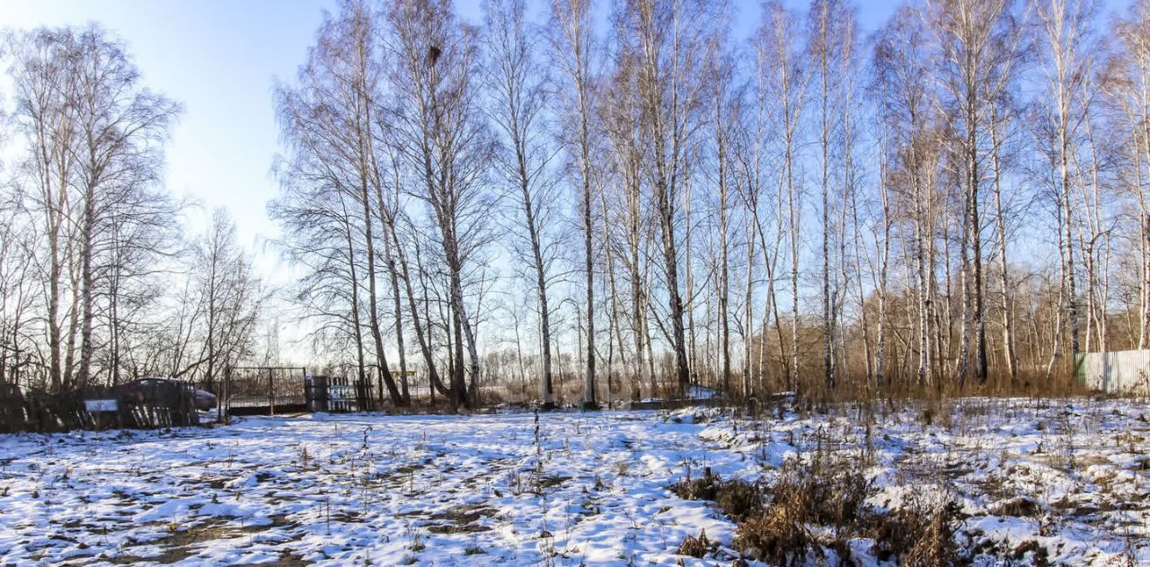 земля г Тюмень р-н Центральный снт Иволга ул Полевая фото 8