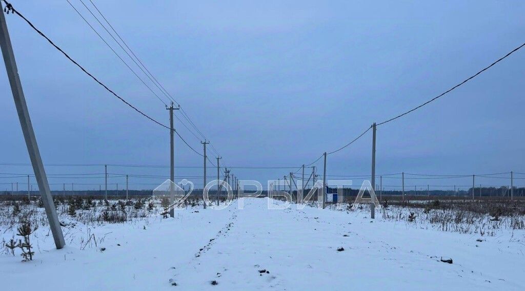 земля р-н Тюменский д Малиновка пер Центральный фото 3