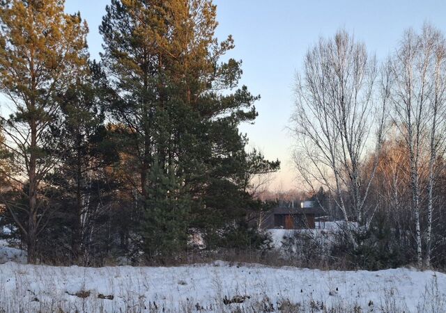 Кубовинский сельсовет, ТСН Малые поляны, Новосибирск фото