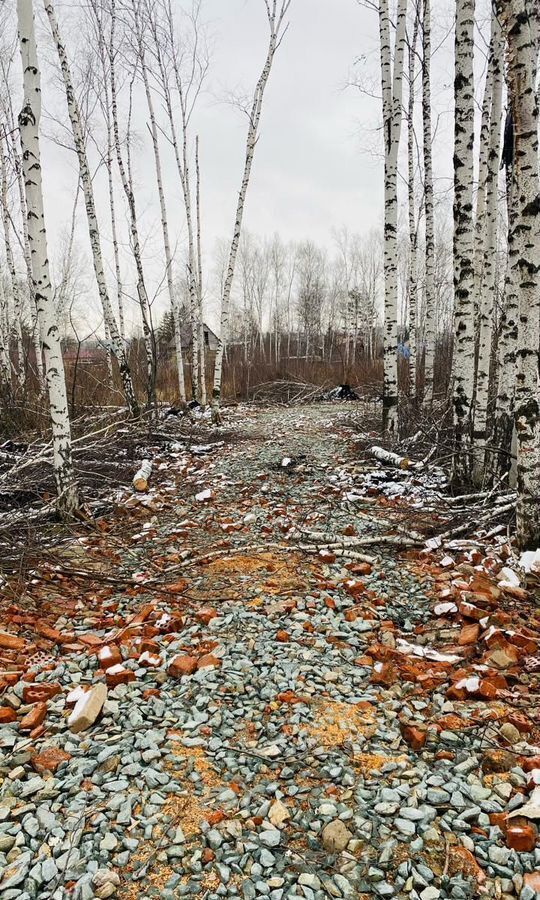 земля г Новосибирск р-н Дзержинский снт тер.Золотая Горка фото 3