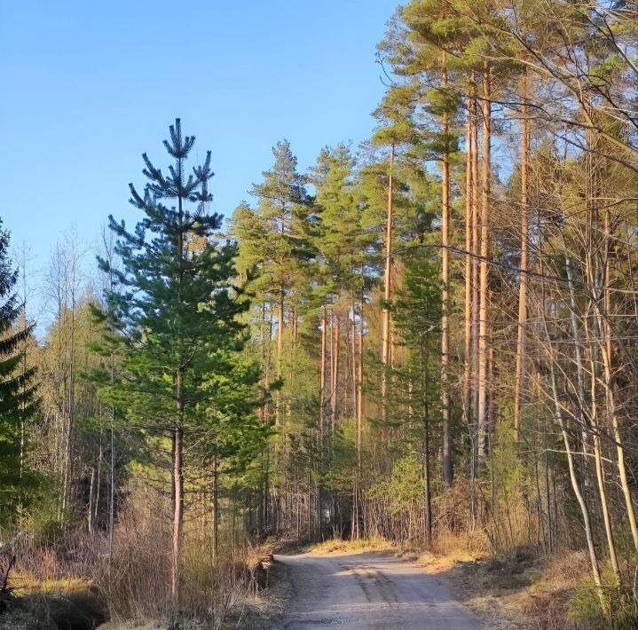 дом р-н Выборгский Полянское с/пос, Приморье-2 СНТ фото 18