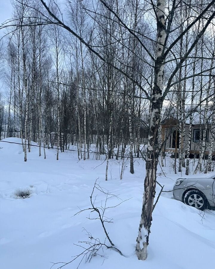 земля городской округ Солнечногорск дп Поварово 37 км, квартал Голубково, г. о. Солнечногорск, Пятницкое шоссе фото 3