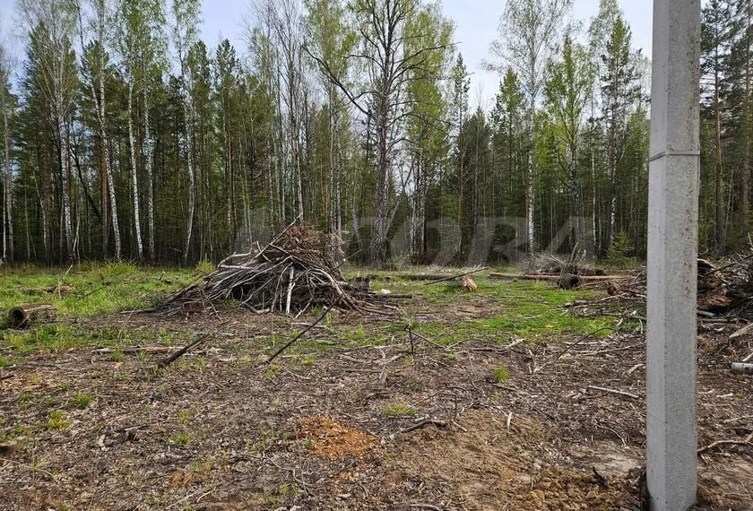 земля р-н Нижнетавдинский с Тюнево Тюмень фото 2