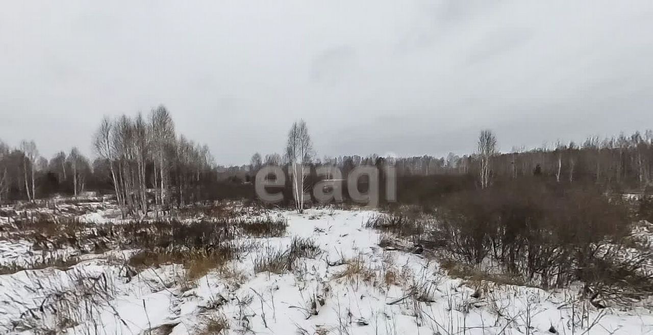 земля р-н Нижнетавдинский д Штакульская Тюмень фото 10