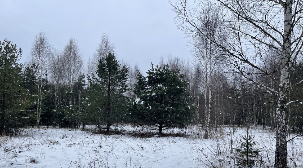 земля городской округ Богородский Щемиловские усадьбы кп, Железнодорожная фото 2