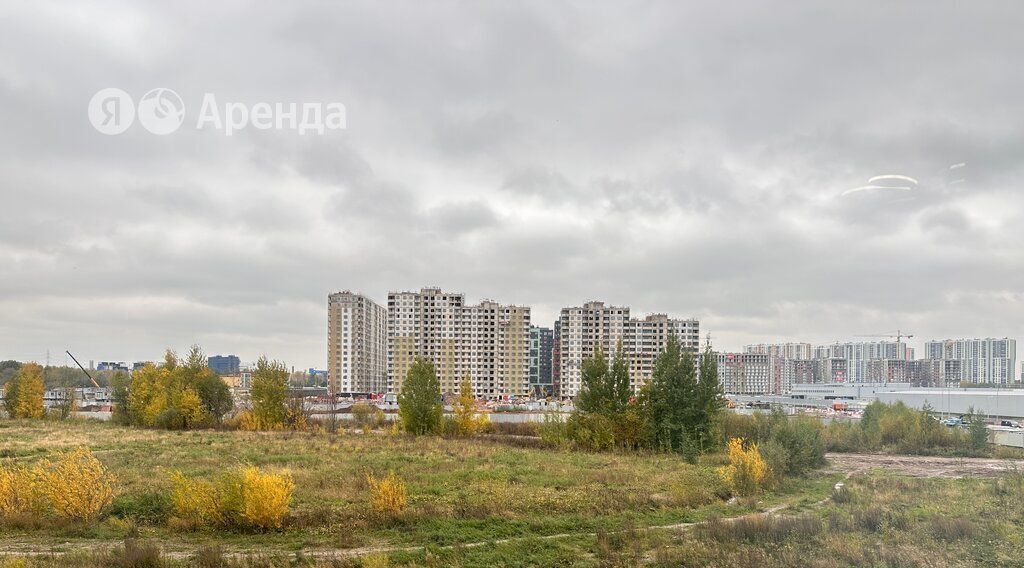 квартира г Санкт-Петербург метро Комендантский Проспект ул Плесецкая 20к/1 фото 15