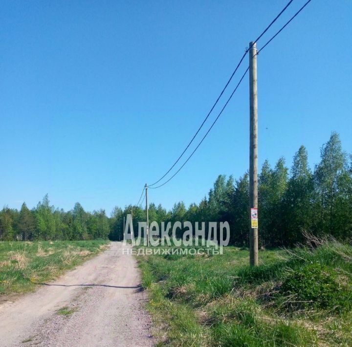 земля р-н Выборгский п Дятлово Советское городское поселение, Новое Дятлово кп фото 7