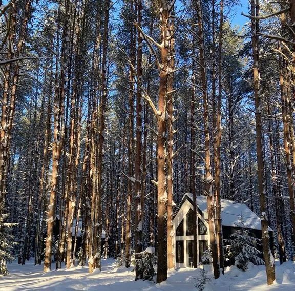 дом р-н Череповецкий д Городище ул Боровая 9 Югское муниципальное образование фото 1