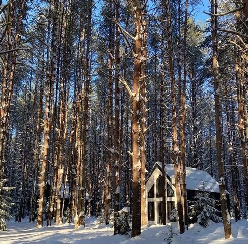 дом д Городище ул Боровая 9 Югское муниципальное образование фото