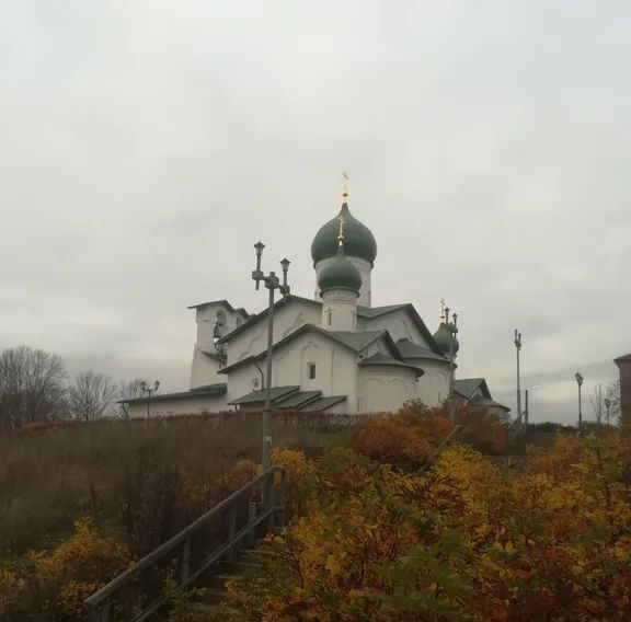 дом г Псков ул Гремячая 10 фото 33