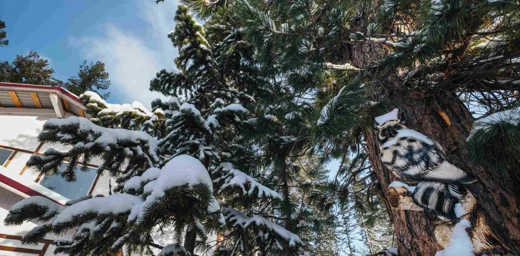 дом р-н Таштагольский пгт Шерегеш ул Свободная 30 Шерегешское городское поселение фото 19