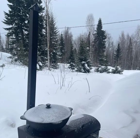 дом р-н Таштагольский пгт Шерегеш ул Цветочная 11 Шерегешское городское поселение фото 17