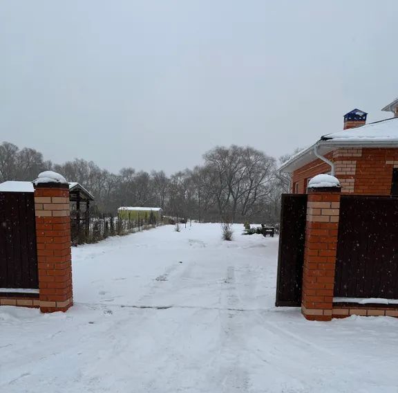 дом городской округ Коломенский д Санино ул Зеркальная 9 Коломна городской округ фото 19