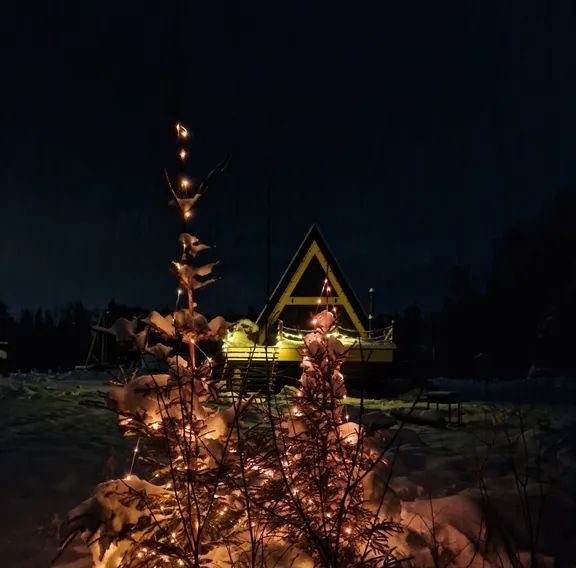 дом городской округ Можайский Лесная Застава СНТ, 206 фото 20