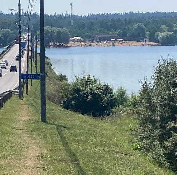 дом городской округ Рузский д Нововолково 2 фото 18