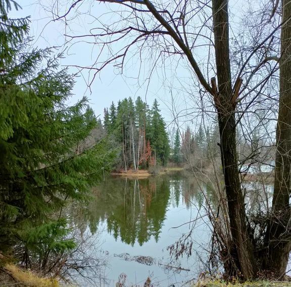 дом р-н Завьяловский снт Север ул. Виноградная, 360 фото 8