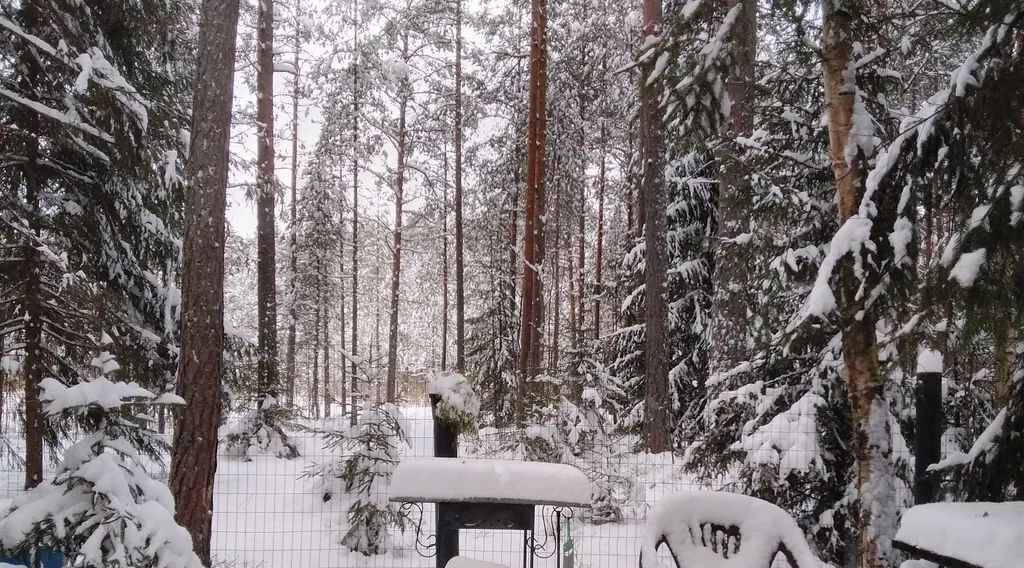 дом р-н Приозерский Сосновское с/пос, пос. При железнодорожной станции Орехово, 2-я линия, 1 фото 9