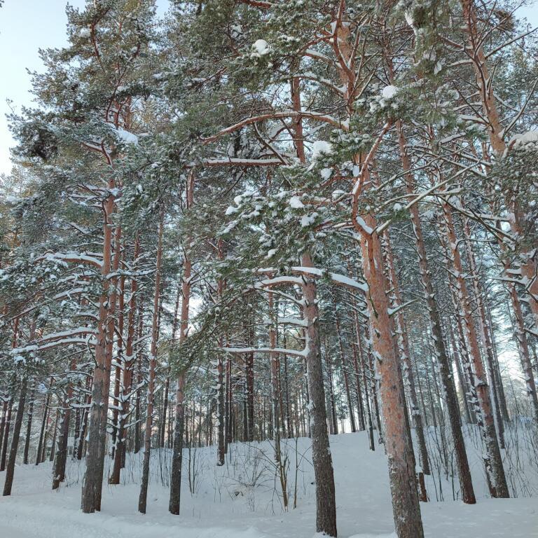 дом р-н Кондопожский с Кончезеро Кончезерское сельское поселение фото 1