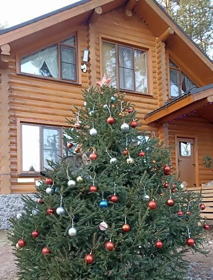 дом р-н Всеволожский д Васкелово ул Лемболовская 10а Куйвозовское с/пос фото 4