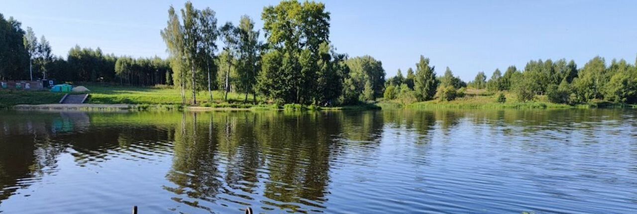 земля р-н Чкаловский д Санагирево 5А, Чкаловск городской округ фото 2