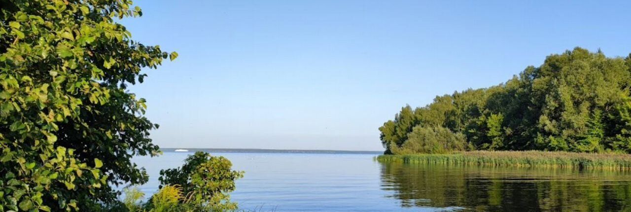 земля р-н Чкаловский д Санагирево 5А, Чкаловск городской округ фото 3