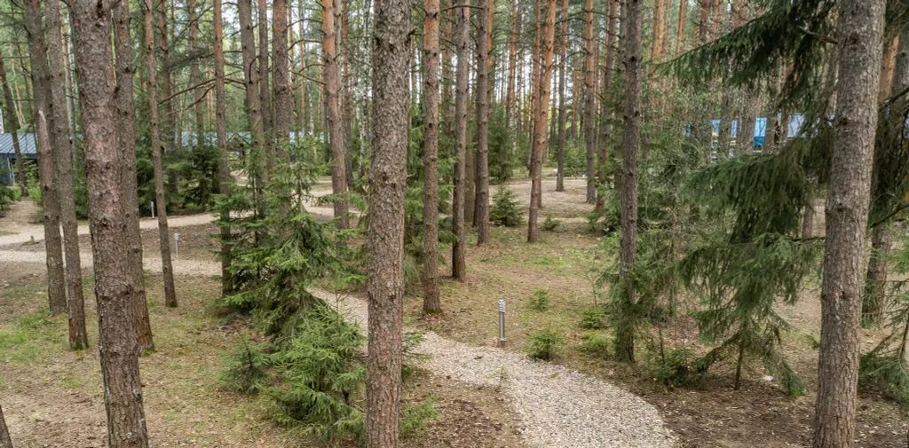 дом р-н Киржачский д Красный Огорок муниципальное образование, Сосновые Озера кп, Филипповское фото 13