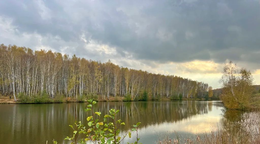 дом р-н Богородский д Килелей ул Вишневая 23 фото 36