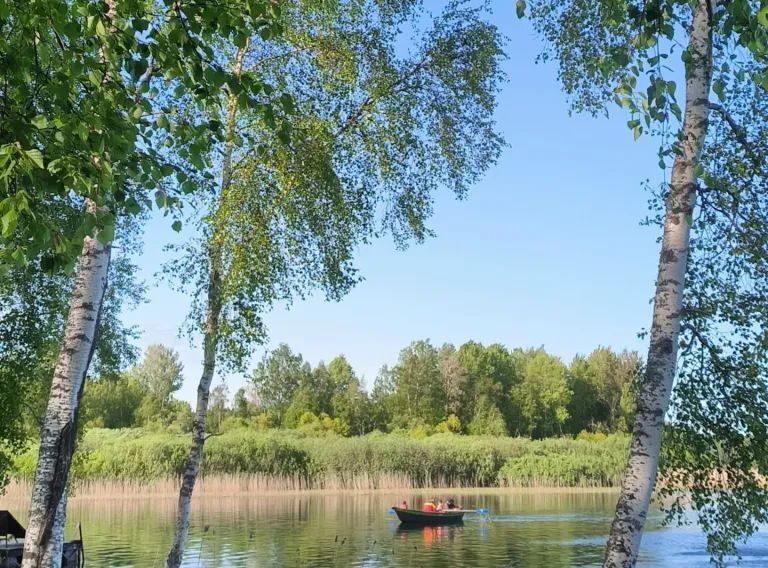 дом р-н Выборгский п Козлово Каменногорское городское поселение, 30 фото 17