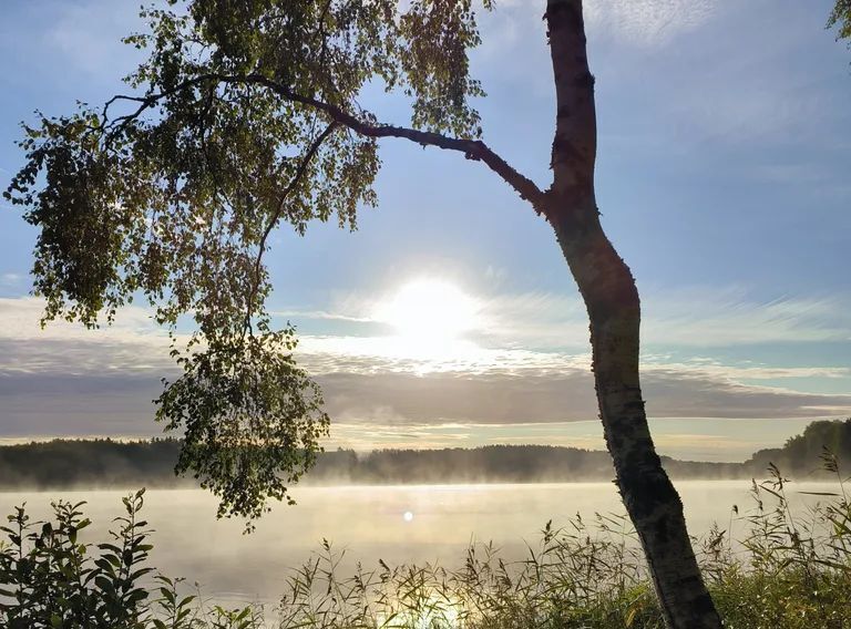 дом р-н Выборгский п Козлово Каменногорское городское поселение, 30 фото 21